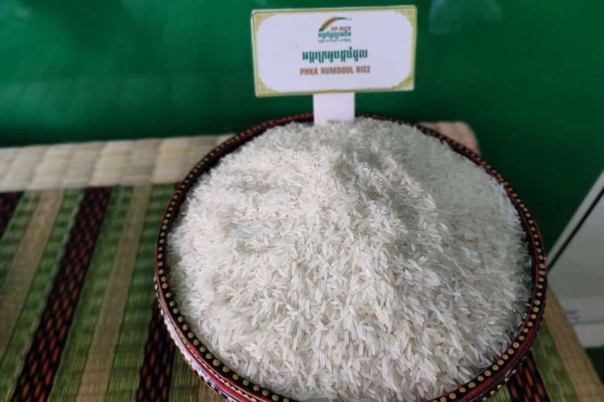 'ข้าวส่งออกไทย' อยู่จุดไหนในตลาดโลก ในยุคที่ 'อินเดีย-เวียดนาม' ยังแกร่ง