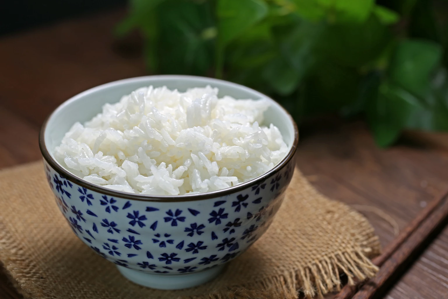 'ข้าวส่งออกไทย' อยู่จุดไหนในตลาดโลก ในยุคที่ 'อินเดีย-เวียดนาม' ยังแกร่ง